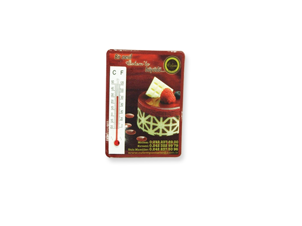 Fridge Magnet